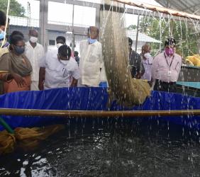 Hon. Minister for Fisheries Sri. Saji Cheriyan visits Fisheries Hatchery at Neyyardam