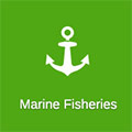 Marine Fisheries